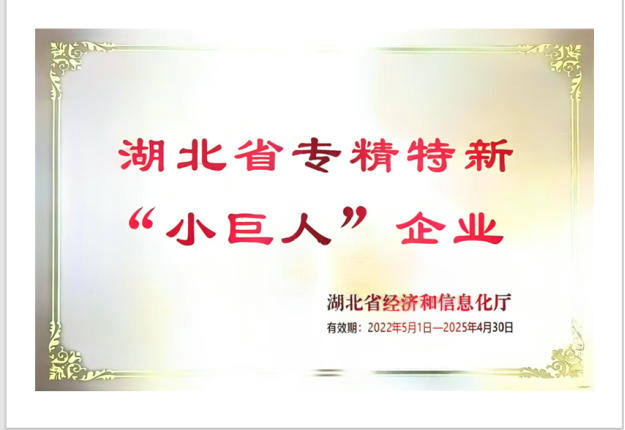湖北省专精特新“小巨人”企业